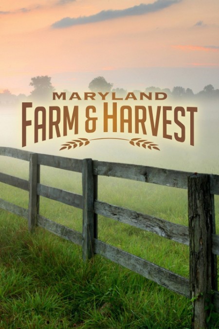 Harvest on The Farm S01E04 HDTV x264-TORRENTGALAXY