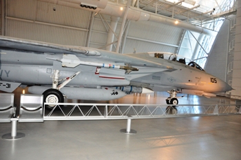 Grumman F-14D (159610) Tomcat Walk Around