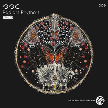 VA - Stan Kolev - Radiant Rhythms Vol 09 (2023) MP3