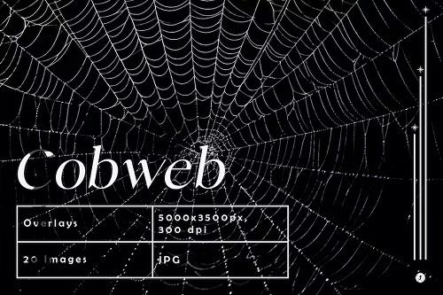 Spider Cobweb Overlays - GA8A7Z9