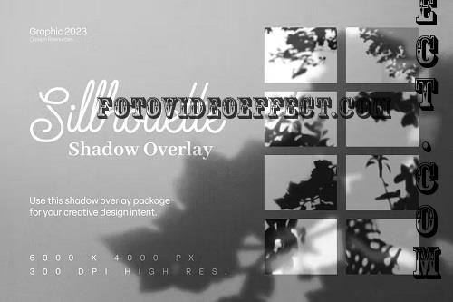 Silhouette Shadow Overlay - 2KCTJ97
