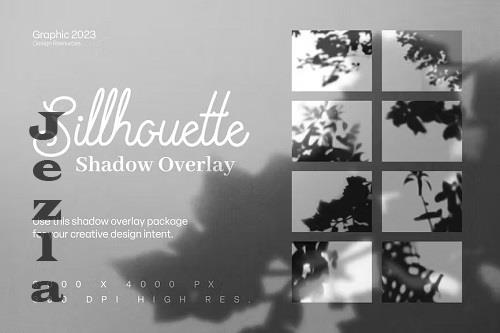 Silhouette Shadow Overlay - 2KCTJ97