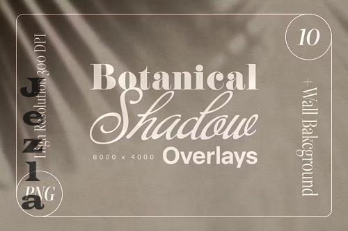 Botanical Shadow Overlay - 4LVLQZY