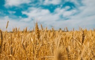 Литва открыла коридор для зерна из Украины