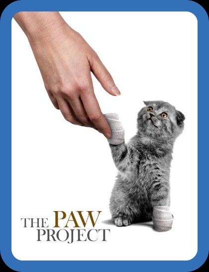 The Paw Project (2013) 1080p WEBRip x264-RARBG