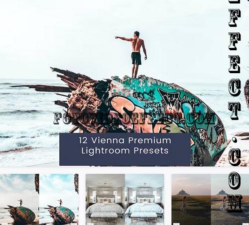 12 Vienna Premium Lightroom Presets - ZHS8FQT