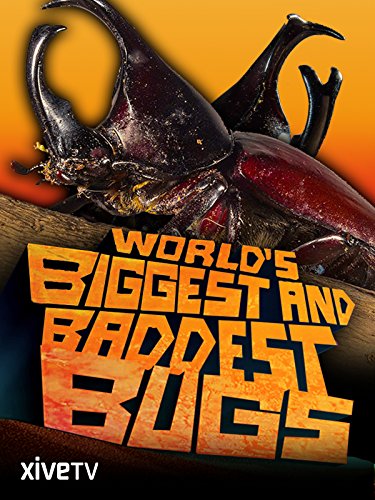 Worlds Biggest and Baddest Bugs (2009) 1080p BluRay x265-RARBG