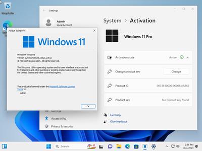 Windows 11 Pro 22H2 Build 22621.2361 (No TPM Required) Preactivated Multilingual (x64)