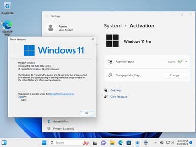 Windows 11 Pro 22H2 Build 22621.2361 (No TPM Required) With Office 2021 Pro Plus Multilingual Preactivated (x64)