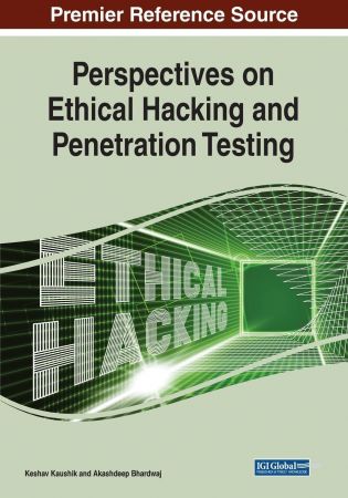 Perspectives on Ethical Hacking and Penetration Testing