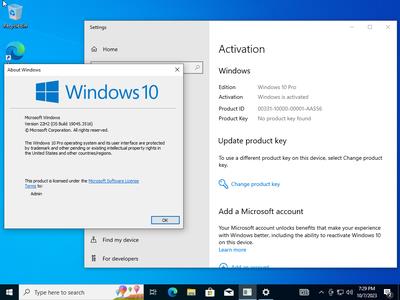 Windows 10 Pro 22H2 build 19045.3516 Preactivated Multilingual (x64) 