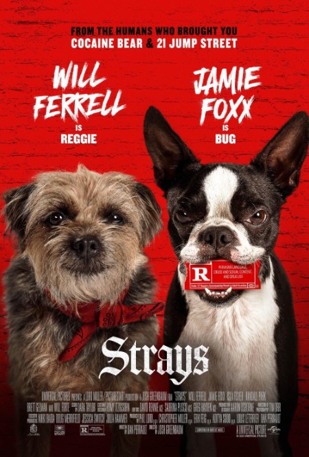 StRays (2023) 720p BluRay YTS