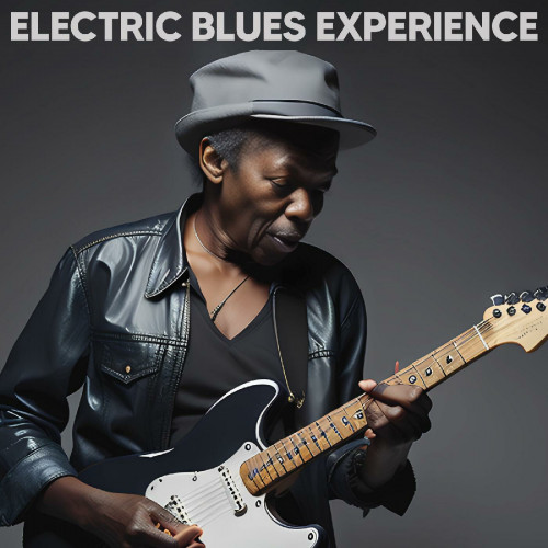 VA - Electric Blues Experience (2023) MP3