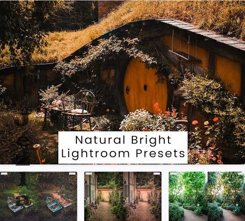 Natural Bright Lightroom Presets - XDTH73U