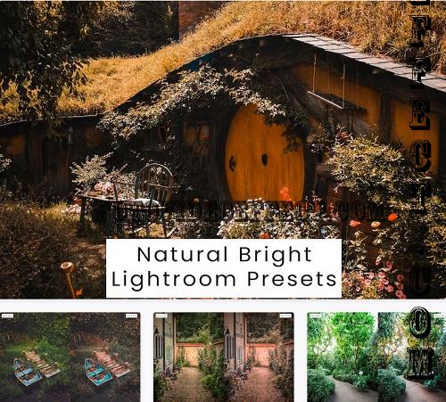 Natural Bright Lightroom Presets - XDTH73U