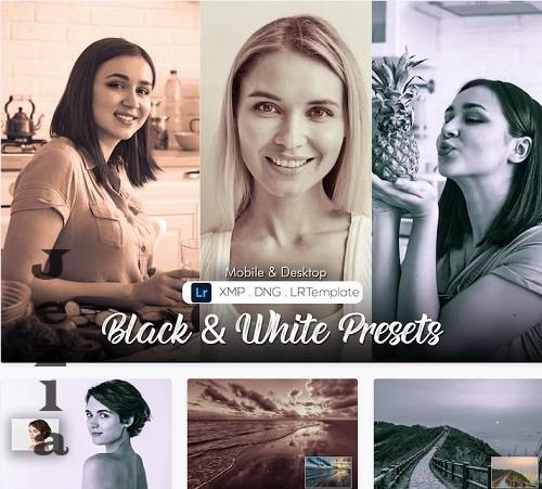 Black & White Presets - GX4ZFA6