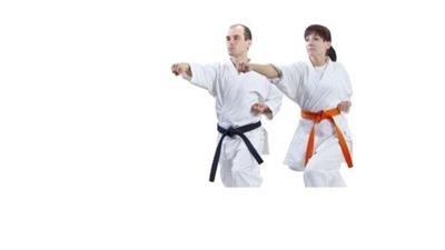 Learn Beginner Tang Soo Do  Karate - Level 5