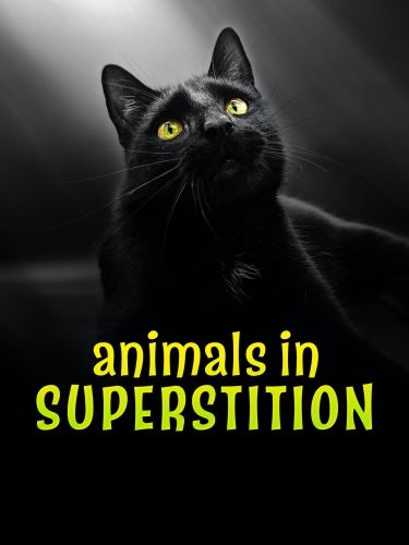 Животные и суеверия / Animals in Superstition (2022) HDTVRip 720p | P1