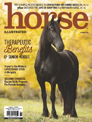 Horse Illustrated - October / 2023 E5b9b6a863a7c1a2bb20a7a924b0d42f