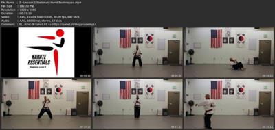 Learn Beginner Tang Soo Do  Karate - Level 5 7c69981f4aa9b30d7807f21bdf6701e7