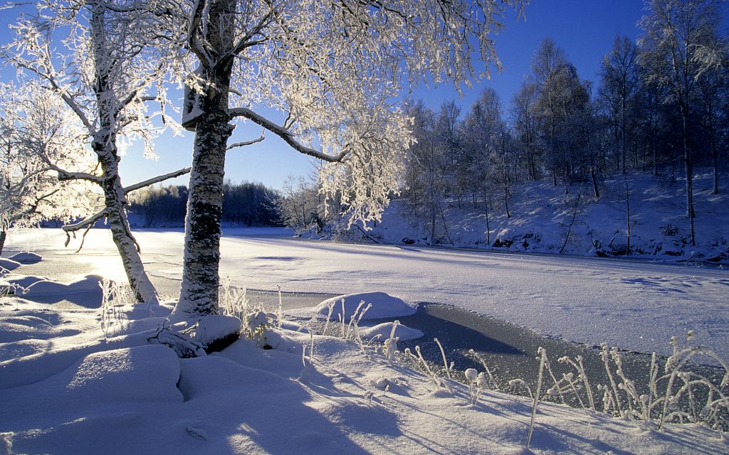 Zimski pejzaži-Winter landscapes - Page 2 9feea47bdadadefabb233c2b23de2bcc