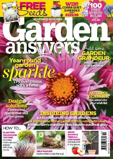 Garden Answers - November / 2023 4a17c4f46078b497b2a9281584d35e01