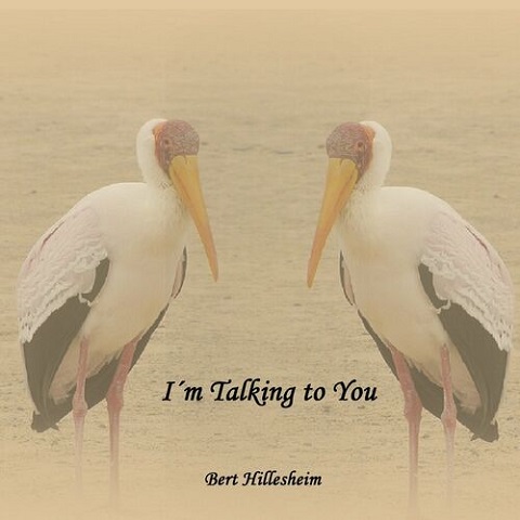 Bert Hillesheim - I'm Talking To You (2023) 