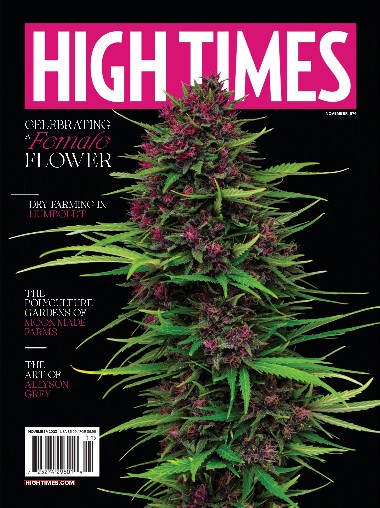 High Times - November / 2023 2c937edb21ca6bc70abd14cc6d506c22