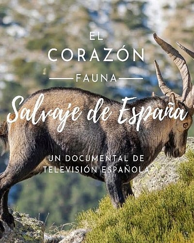 Дикое сердце Испании / El corazn salvaje de Espaa (2019) HDTV 1080i | P1