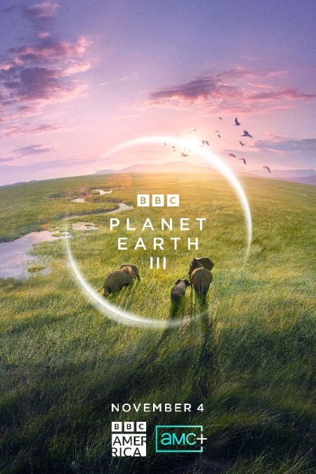 Planet Earth III S01E01 Coasts 2160p iP WEB-DL AAC2 0 HLG H 265-FLUX