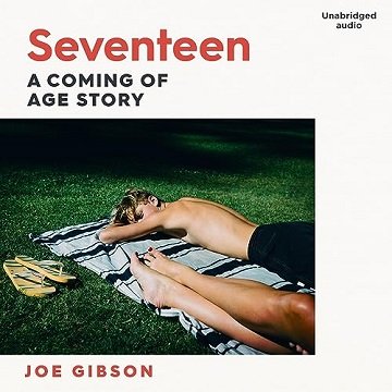 Seventeen by Joe Gibson [Audiobook]