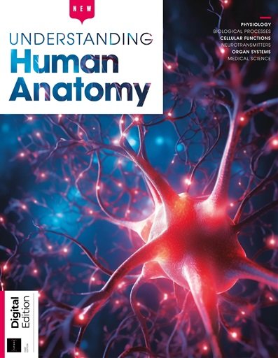 How It Works - Understanding Human Anatomy, 1st Edition, 2023
