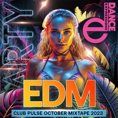VA - Pulse Of The EDM Club (2023) MP3