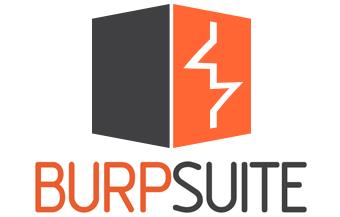 Burp Suite Professional  2023.10.2.4