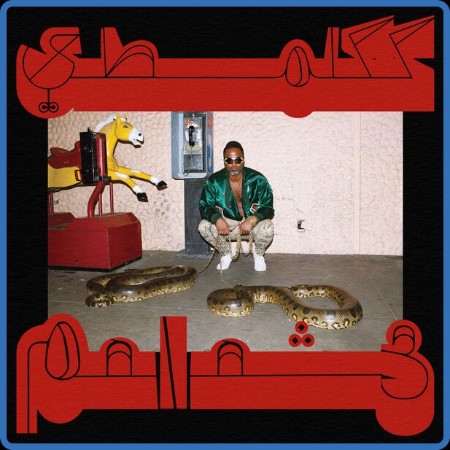 Shabazz Palaces - Robed in Rareness 2023