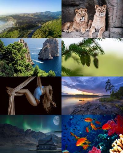 Wallpapers Mix №1118
