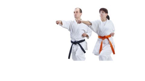 Learn Beginner Tang Soo Do Karate – Level 5