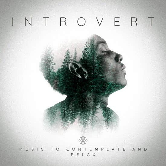Introvert - Music to contemplate and relax