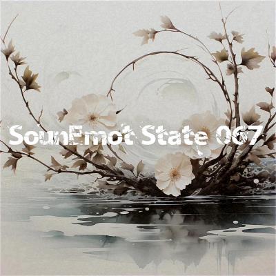Картинка Sounemot State 067 (2023)