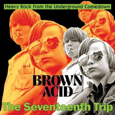 VA - Brown Acid "The Seventeenth Trip" (2023) (Hi-Res) FLAC/MP3