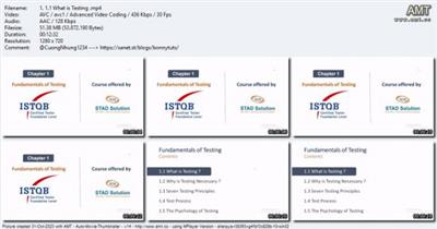 ISTQB Foundation Level (CTFL)-Complete Training  [2023] 63464cbfd4c1674907b2b41a8336a6eb