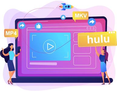 Pazu Hulu Video Downloader 1.3.5 Multilingual