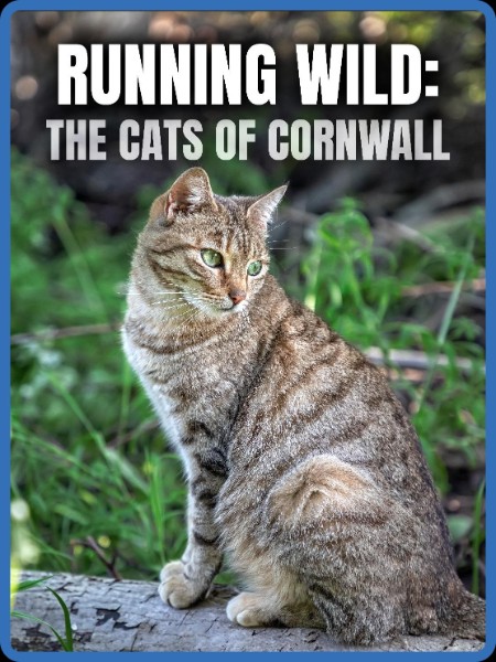 Running Wild The Cats of Cornwall (2020) 1080p WEBRip x265-RARBG