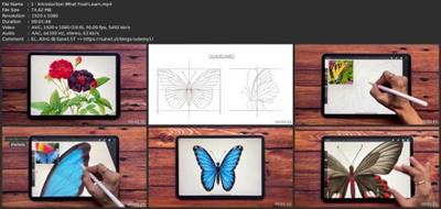Procreate - Illustrate Butterflies And 3 Ways To  Animate 4f894324b0fd3d067bf75bd22a9c208e