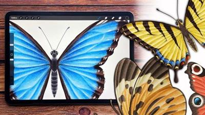 Procreate - Illustrate Butterflies And 3 Ways To  Animate 1843c64c1559a590cb959bfee2c196a0
