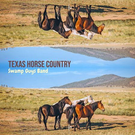 Swamp Guys Band - Texas Horse Country (2022) 504fb89f6555d3c8debd3480804eeded