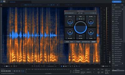 iZotope RX 10 Audio Editor Advanced v10.4.0 U2B  macOS