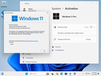 Windows 11 Pro 23H2 Build 22631.2506 (No TPM Required) Preactivated Multilingual (x64)