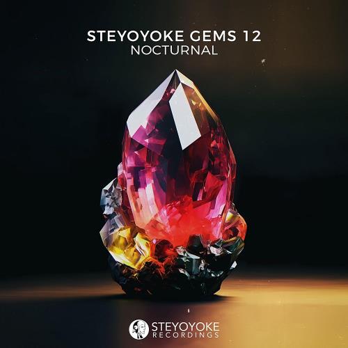 VA - Steyoyoke Gems Nocturnal 12 (2023) (MP3)