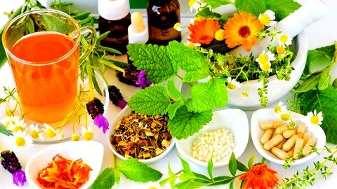 Herbalism Master The Art Of Herbalism Certification Course